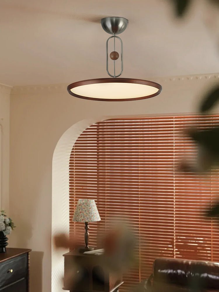 Lucaian Modern Acrylic Ceiling Lamp