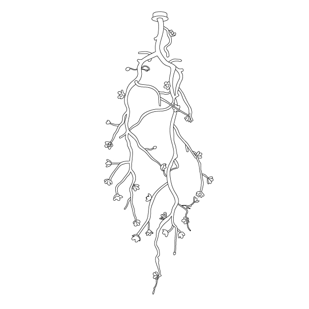 Rae Chandelier Black Branch Flower