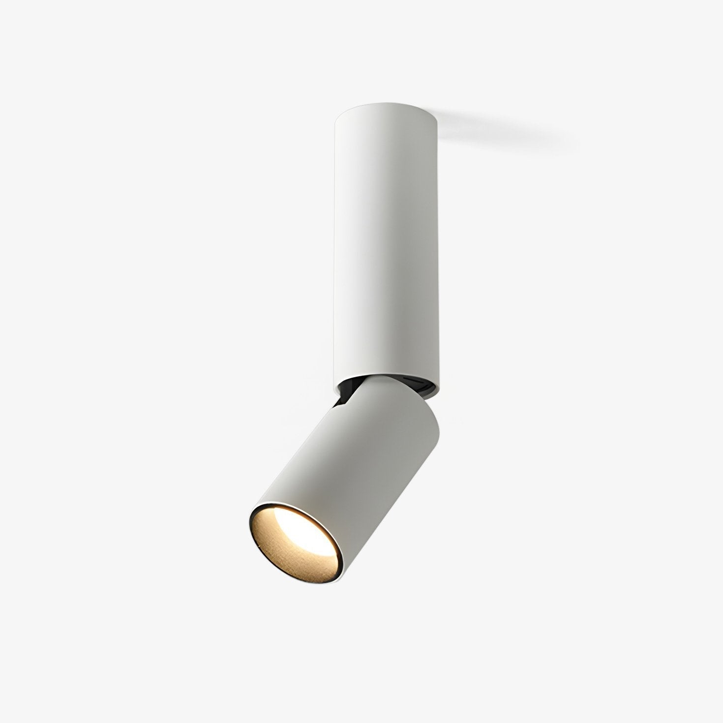 Elvynira Adjustable Surface Downlight Ceiling lamp