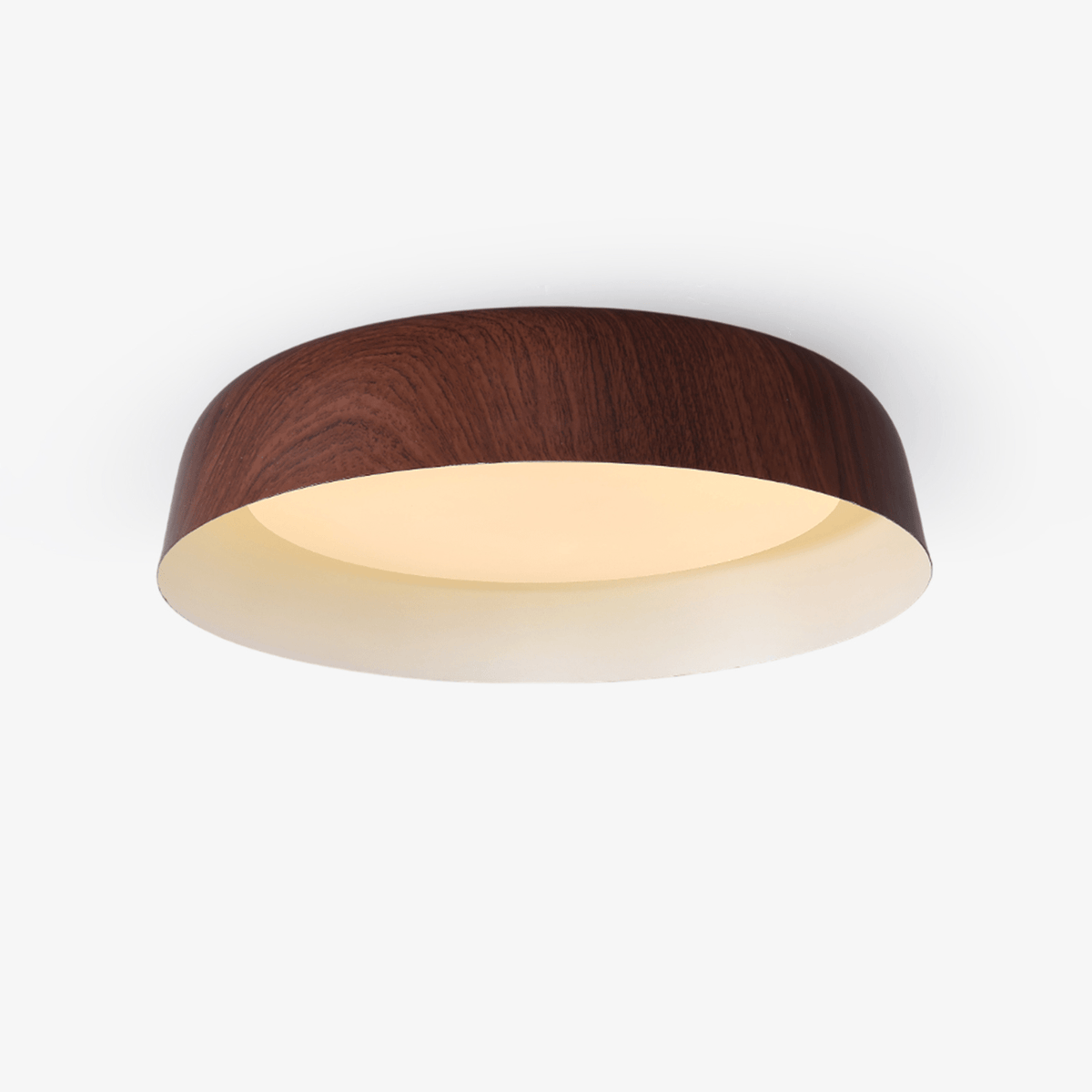 Viraenena Modern Minimalist Ceiling Light