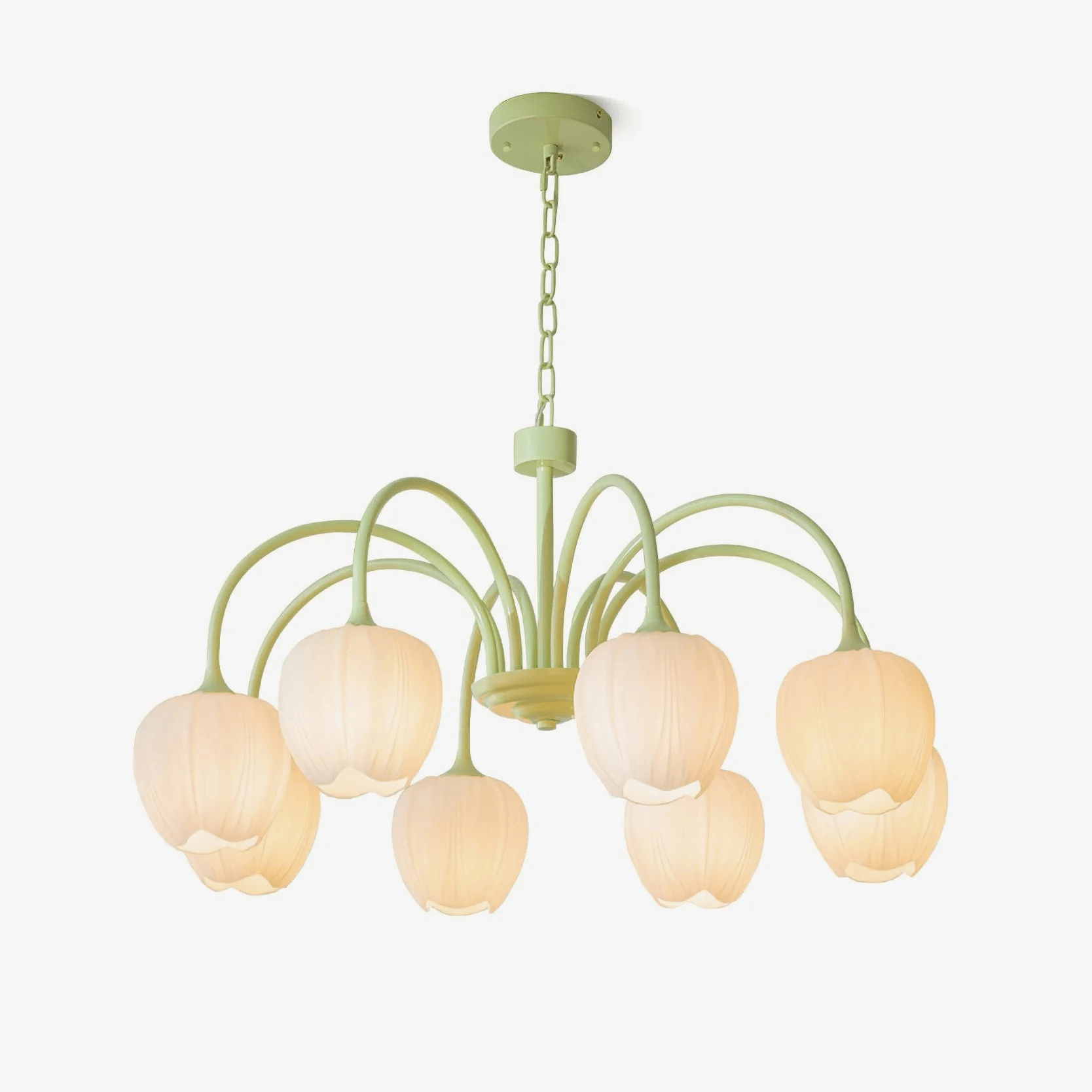 Fairmere Tulip Matcha Chandelier