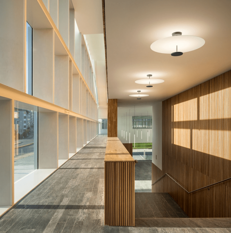 Miraline Modern Ceiling Light
