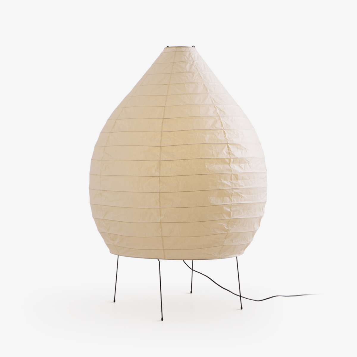 Viraiviella Modern Floor Lamp