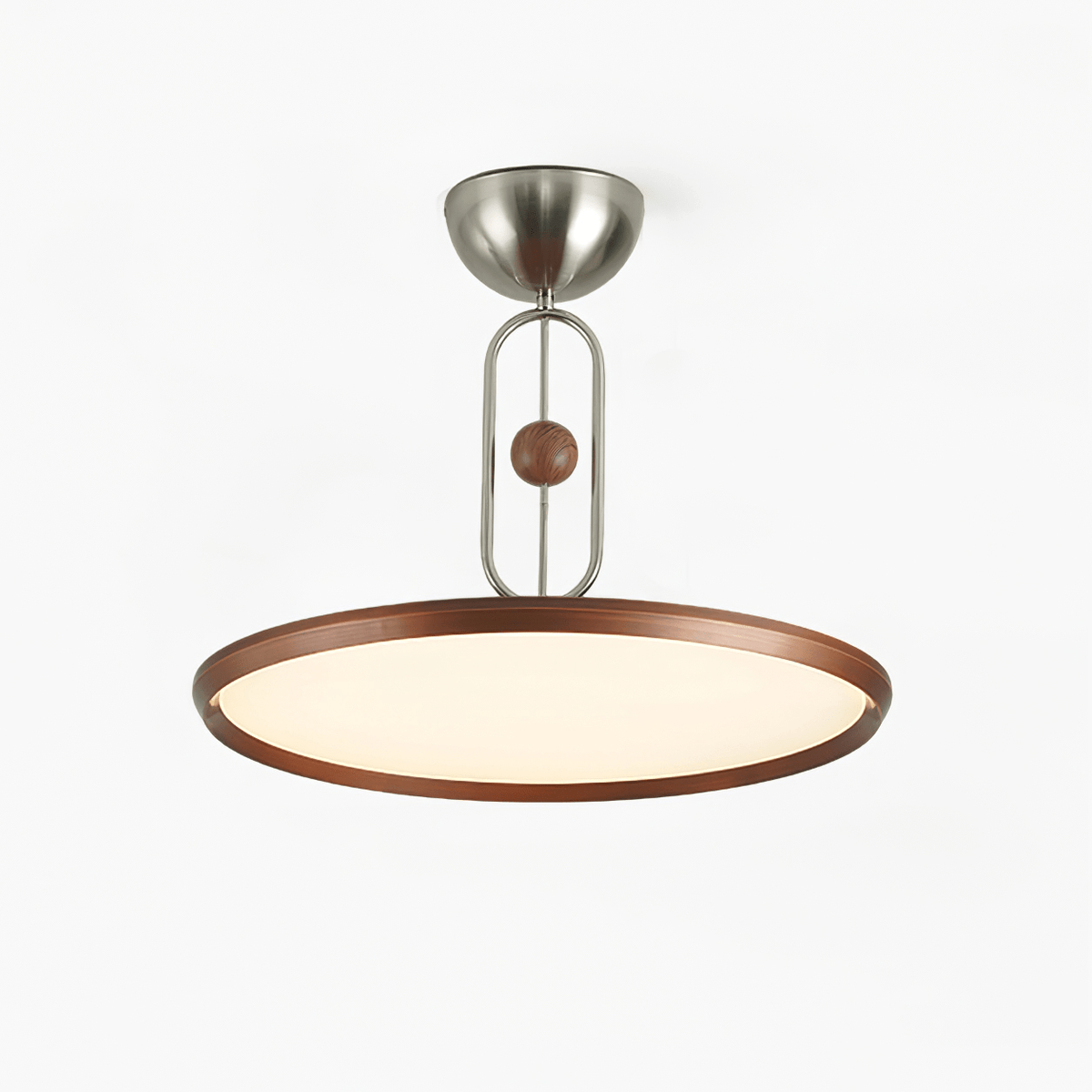 Lucaian Modern Acrylic Ceiling Lamp
