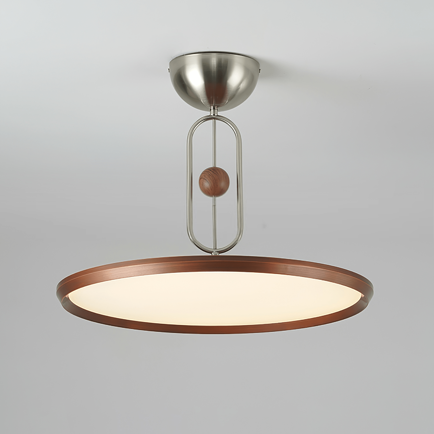 Lucaian Modern Acrylic Ceiling Lamp