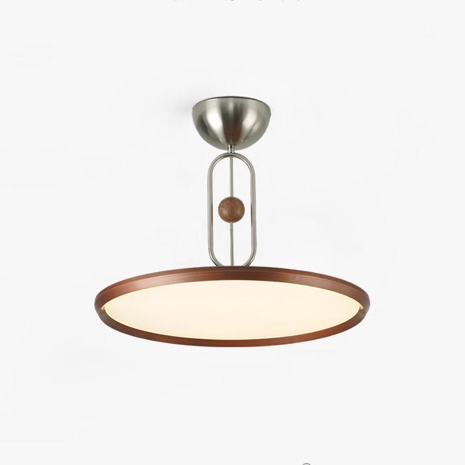 Lucaian Modern Acrylic Ceiling Lamp
