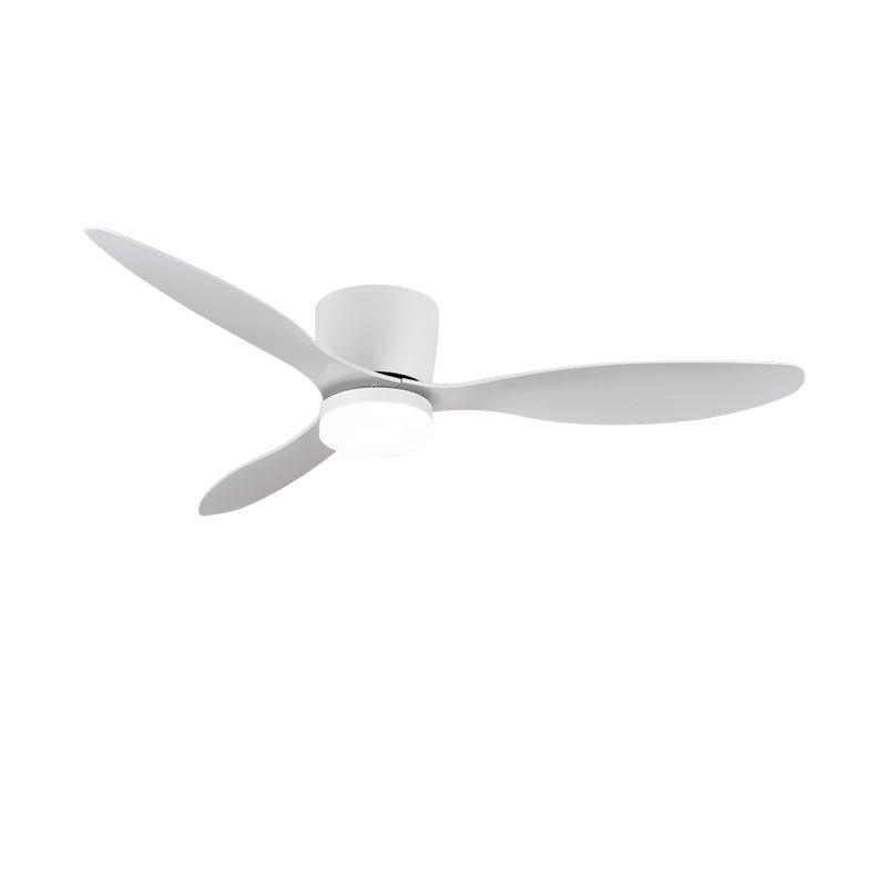 Brinor Minimalist Wood Ceiling Fan Light