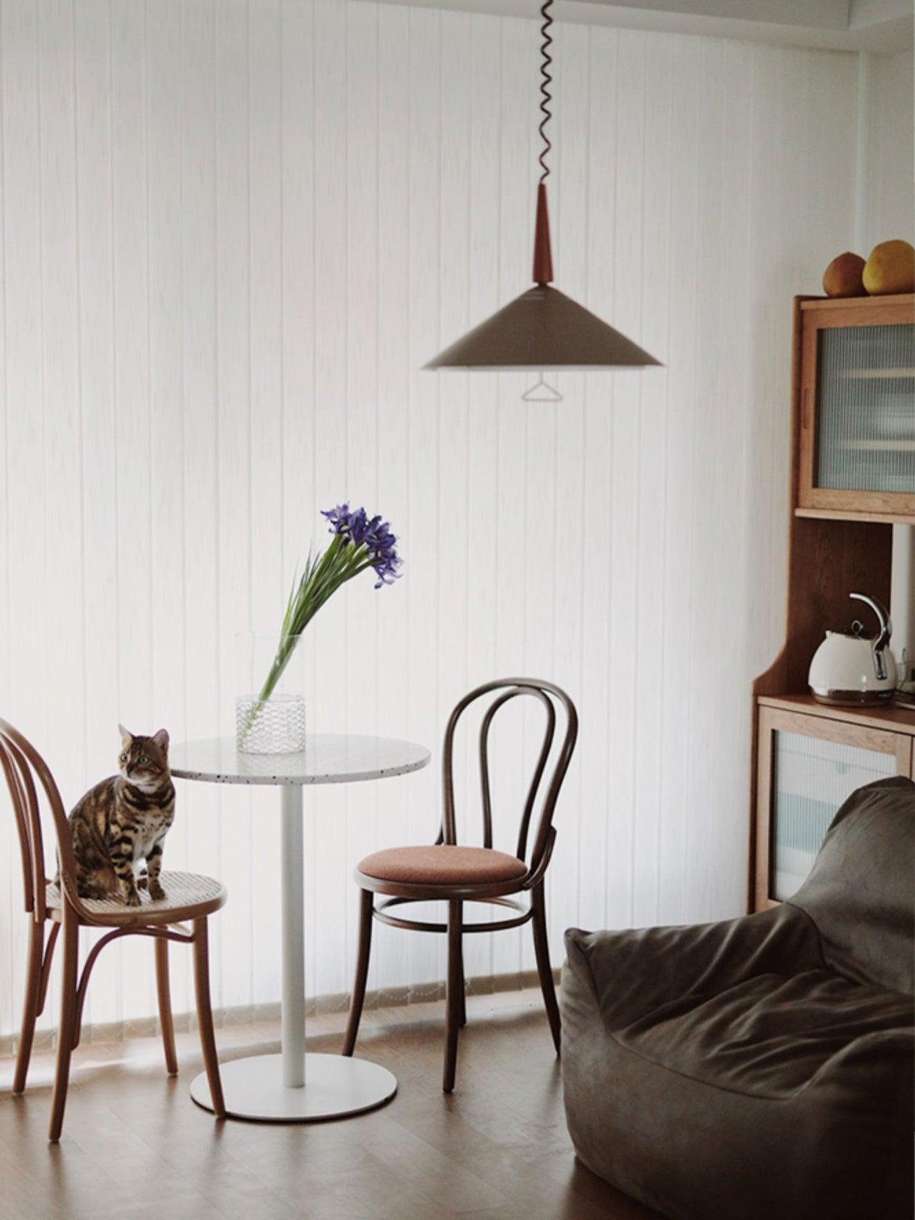 Jolvin Modern Minimalist Retro Pendant Lamp