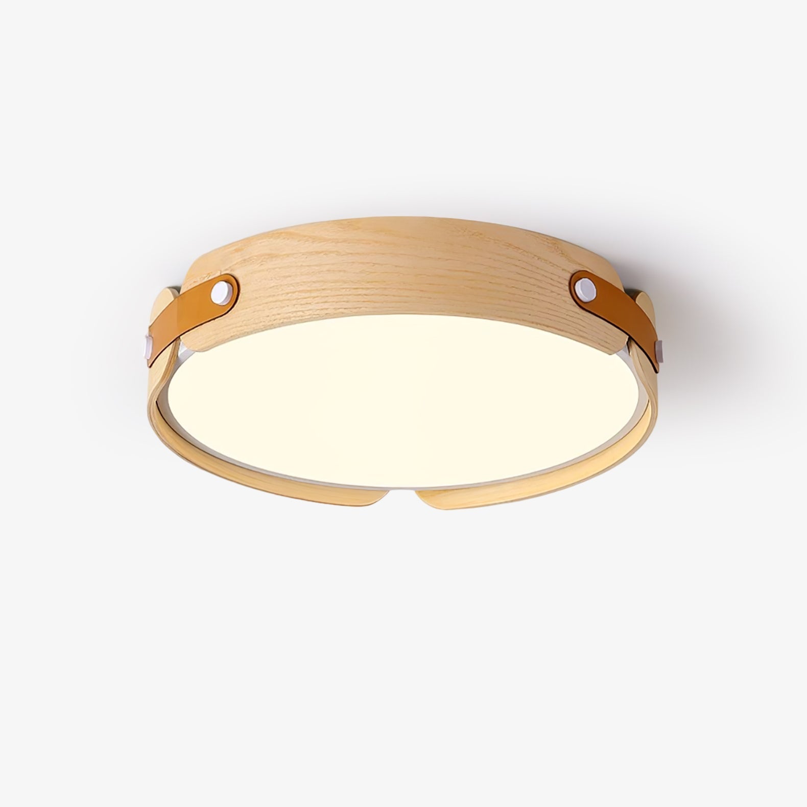 Echo Modern Minimalist Wood Ceiling Light