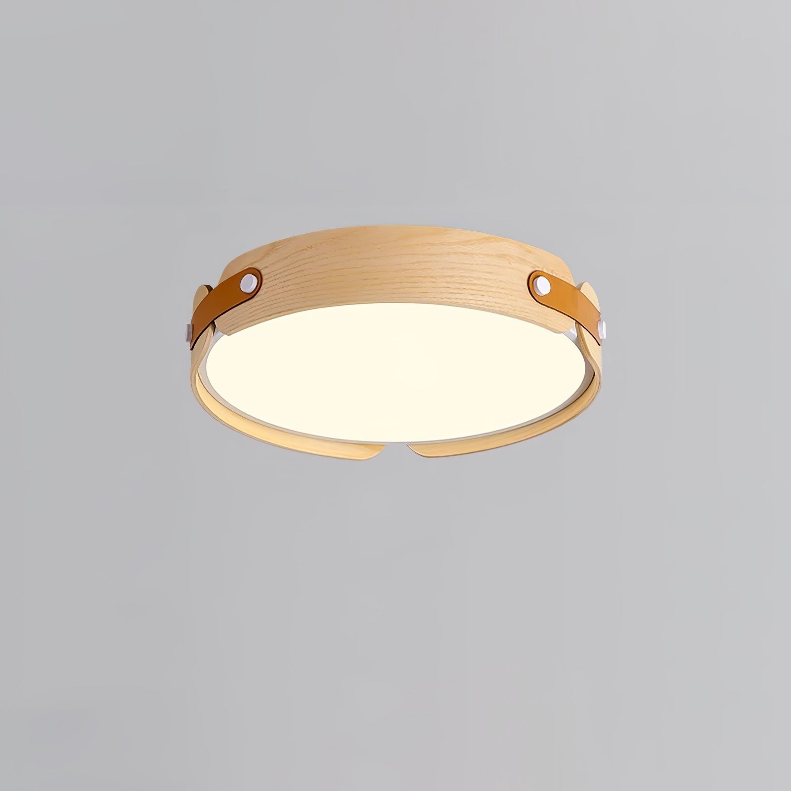 Echo Modern Minimalist Wood Ceiling Light