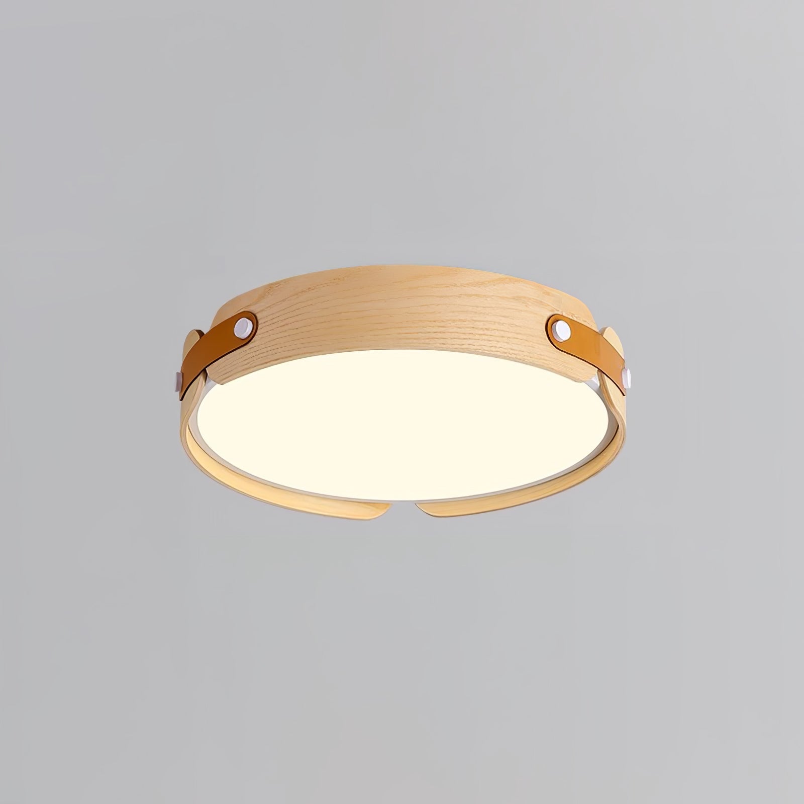 Echo Modern Minimalist Wood Ceiling Light