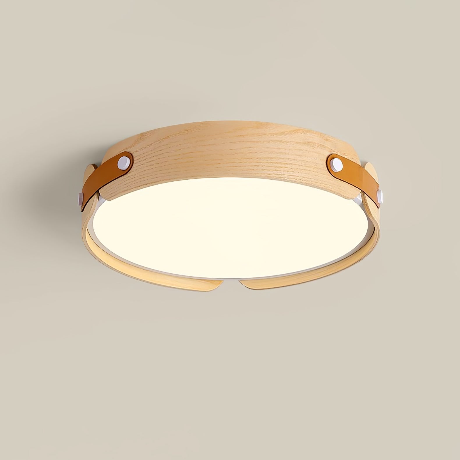 Echo Modern Minimalist Wood Ceiling Light