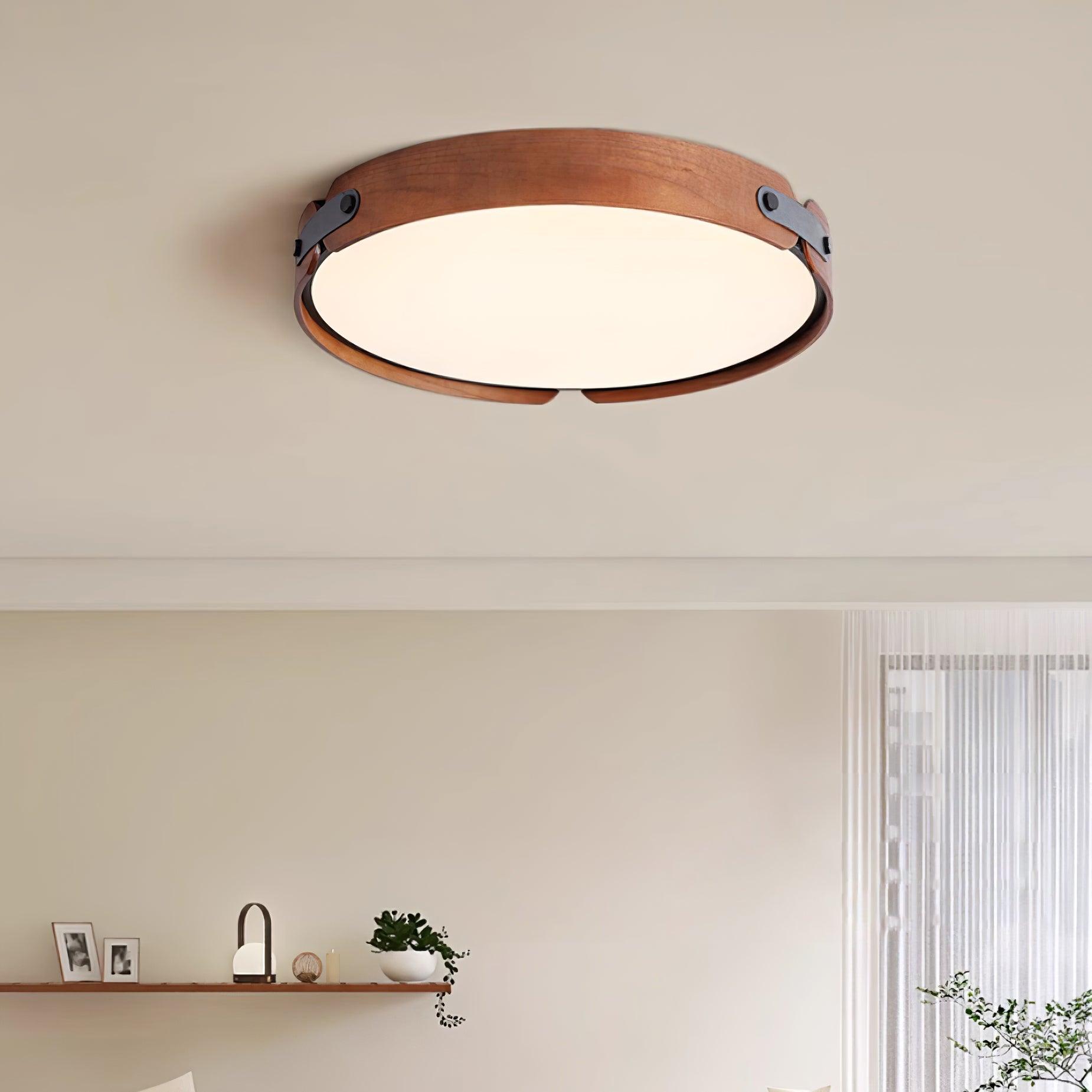 Echo Modern Minimalist Wood Ceiling Light