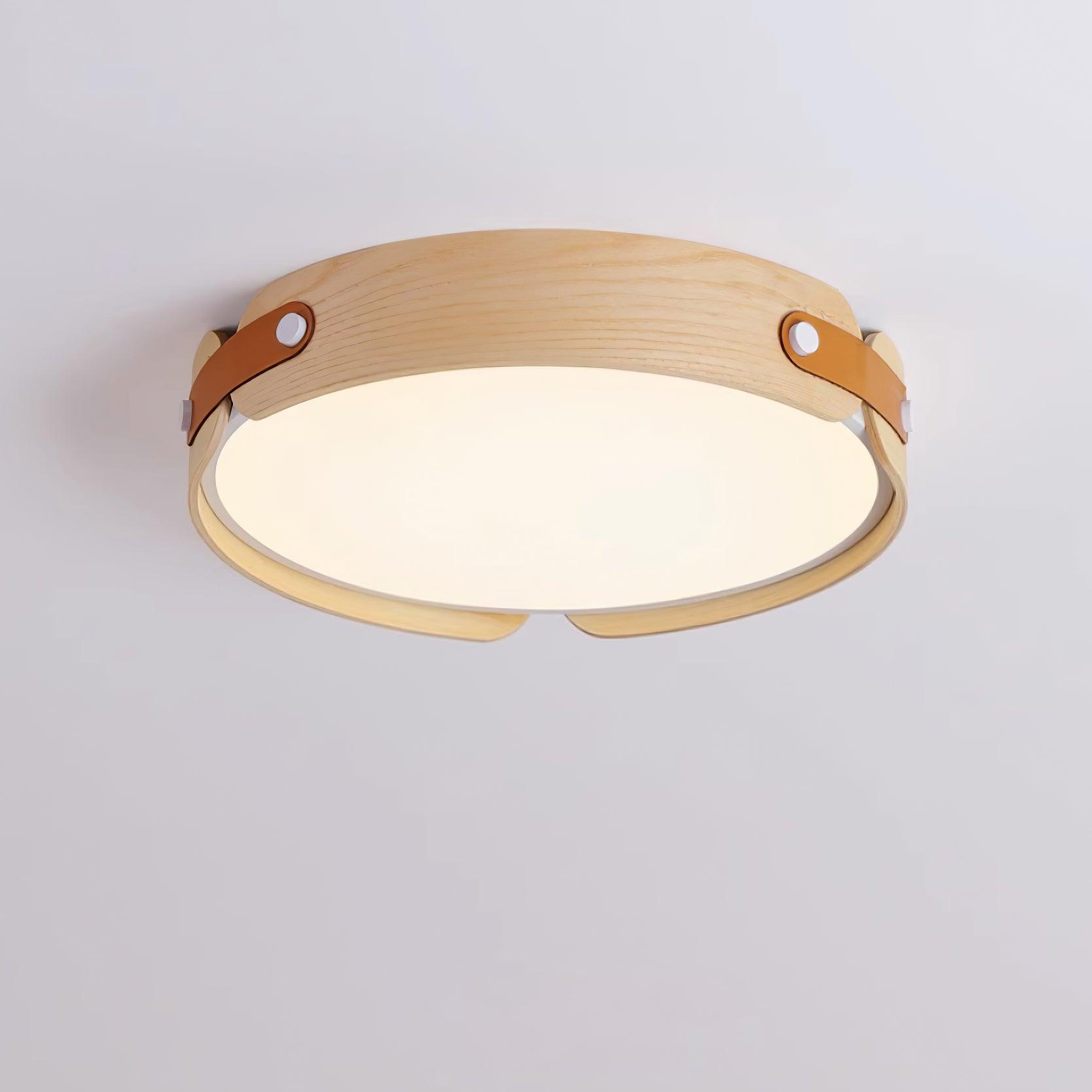 Echo Modern Minimalist Wood Ceiling Light
