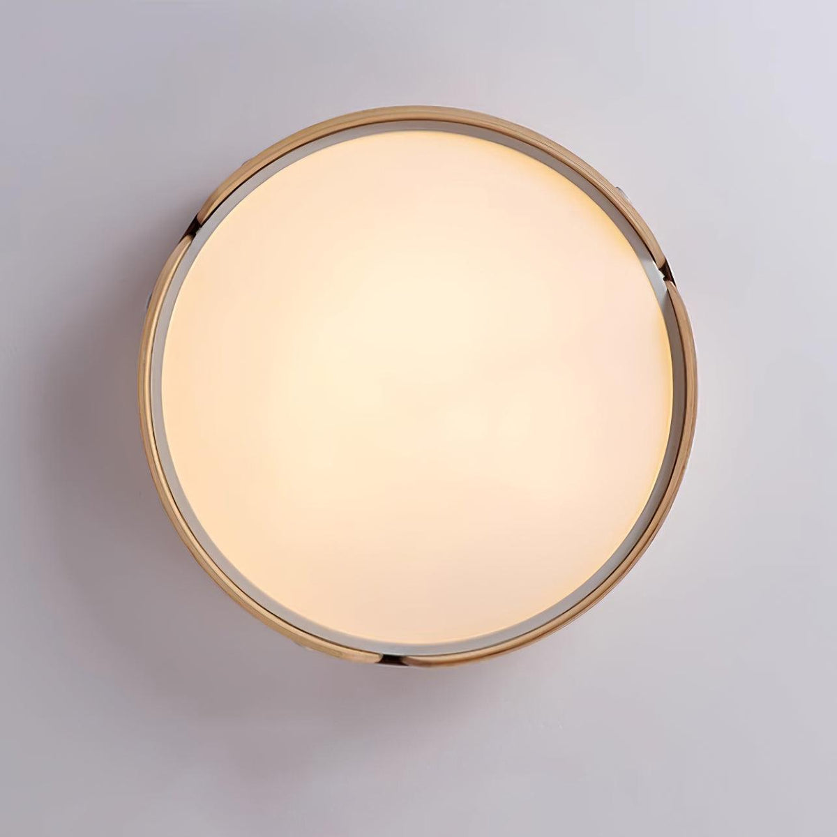 Echo Modern Minimalist Wood Ceiling Light