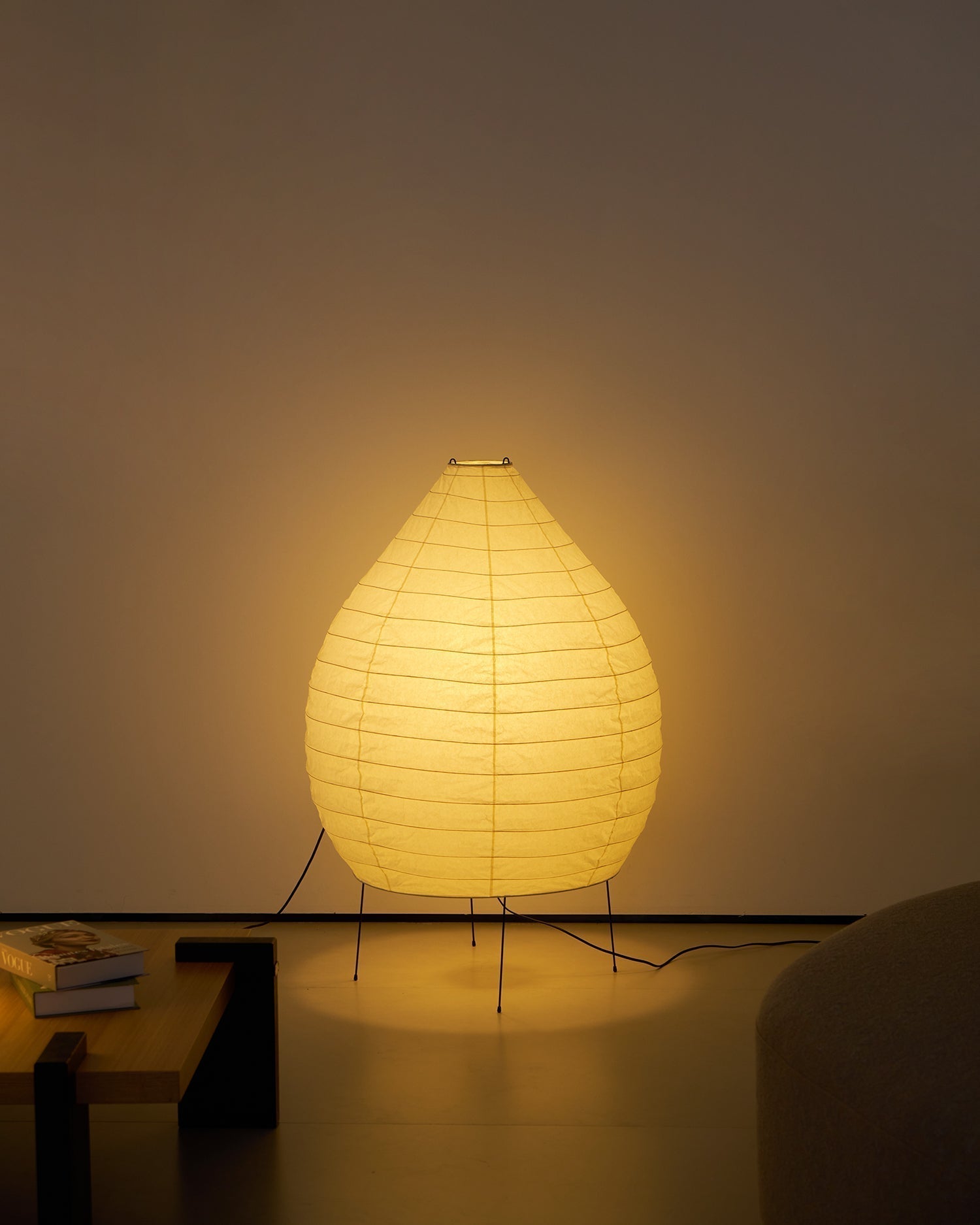 Viraiviella Modern Floor Lamp
