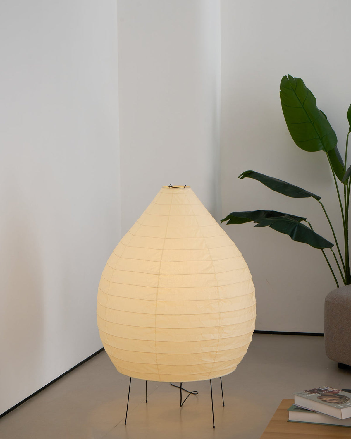 Viraiviella Modern Floor Lamp