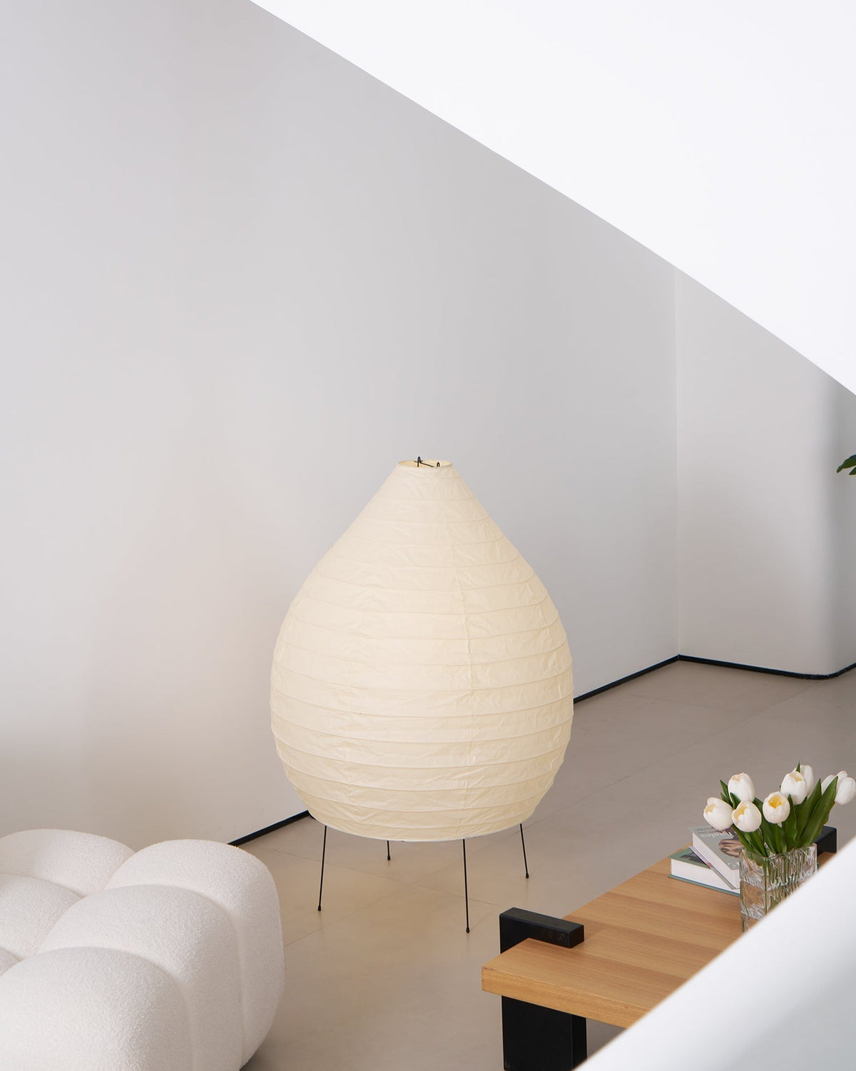 Viraiviella Modern Floor Lamp