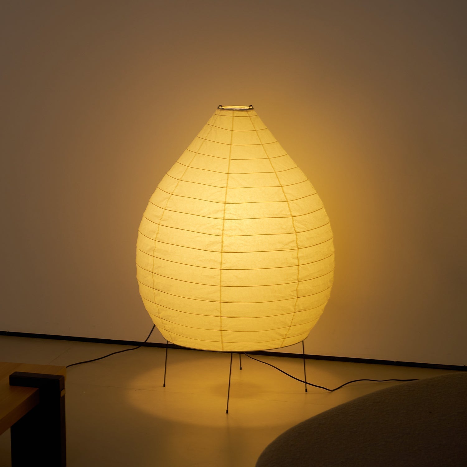 Viraiviella Modern Floor Lamp