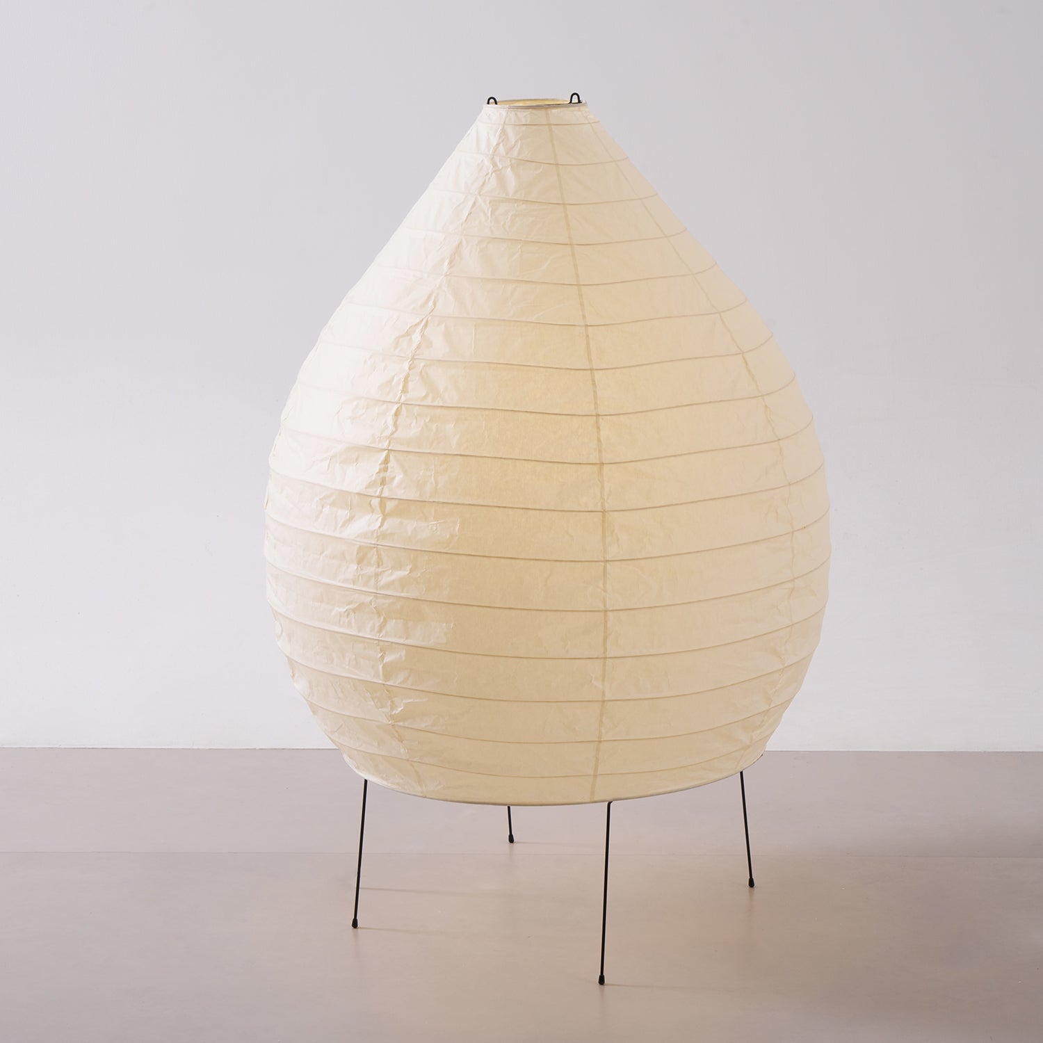 Viraiviella Modern Floor Lamp