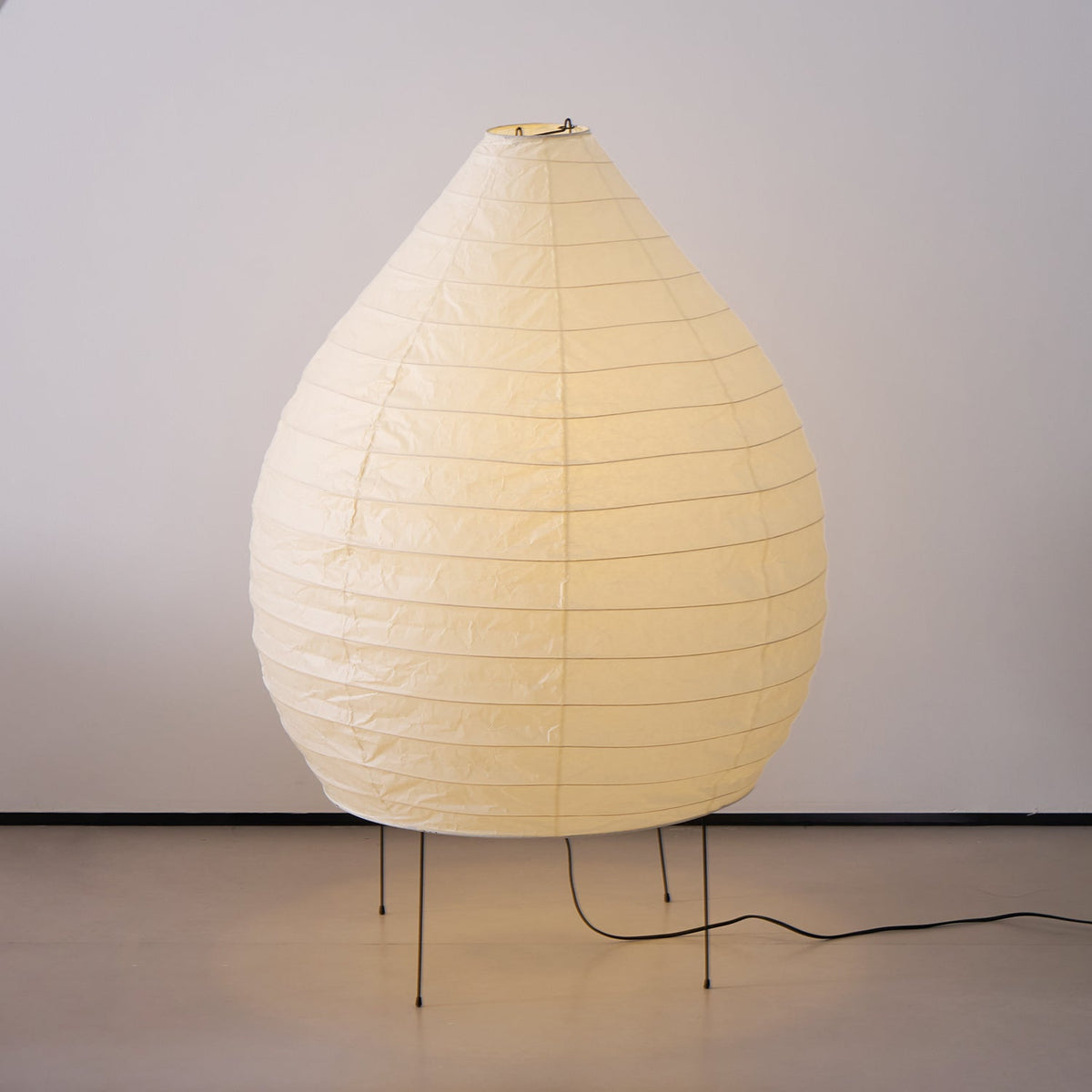 Viraiviella Modern Floor Lamp