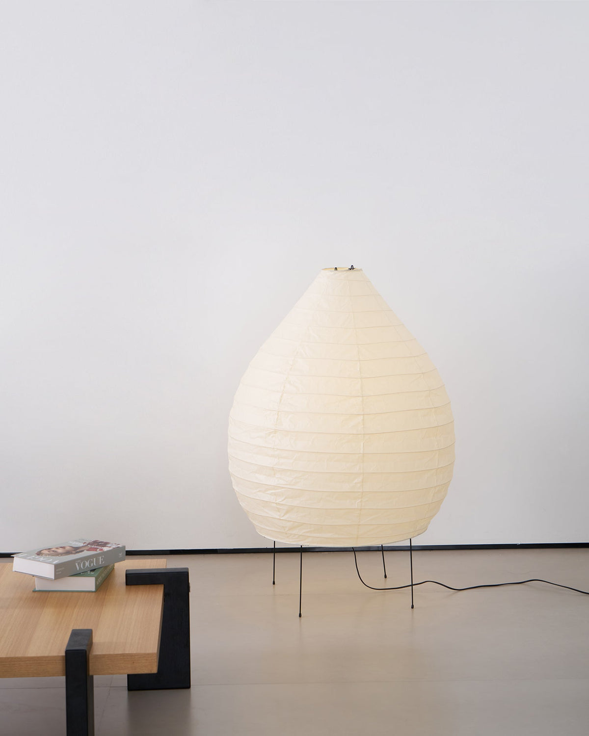 Viraiviella Modern Floor Lamp