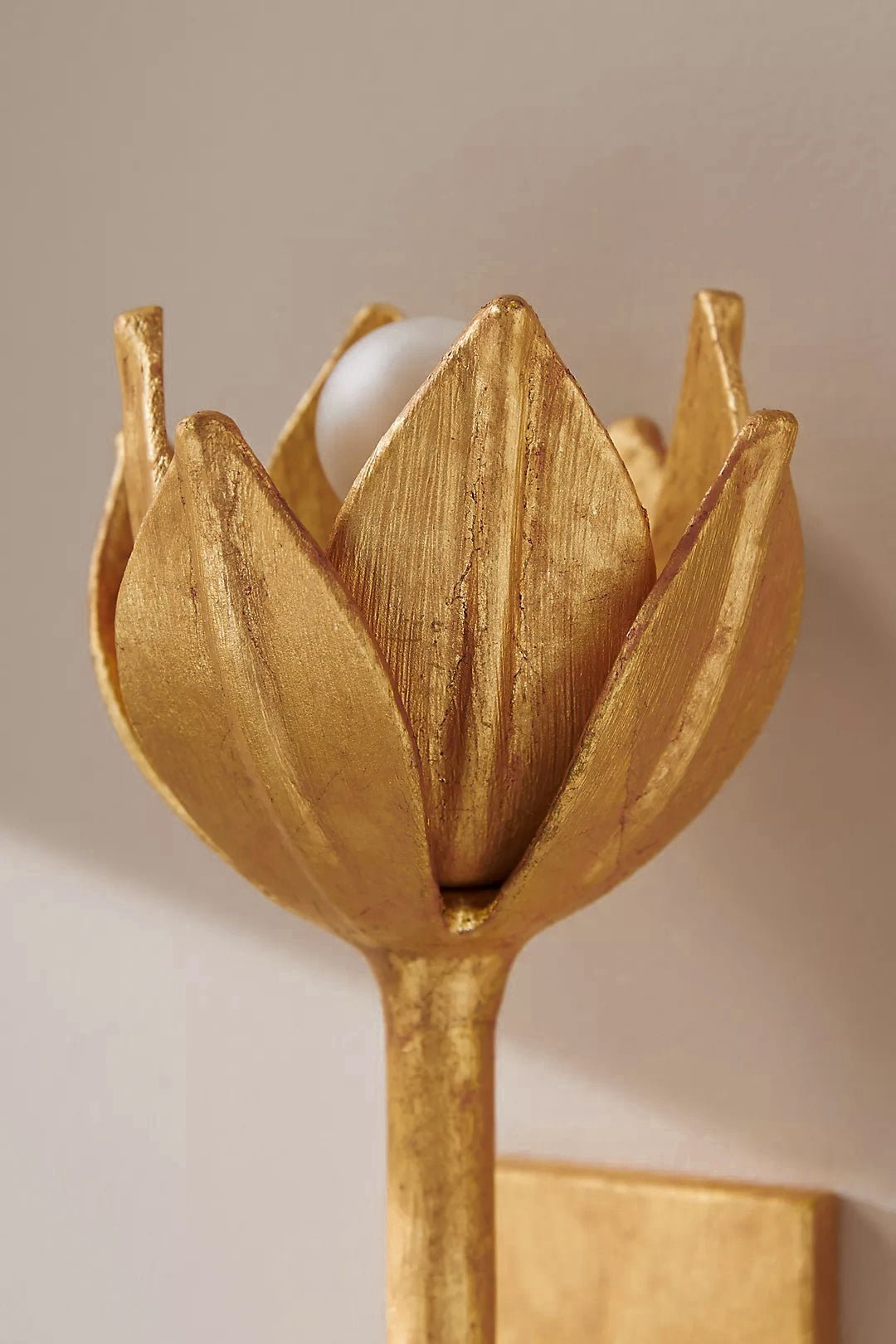 Clira Brass Lotus Bloom Wall Lamp