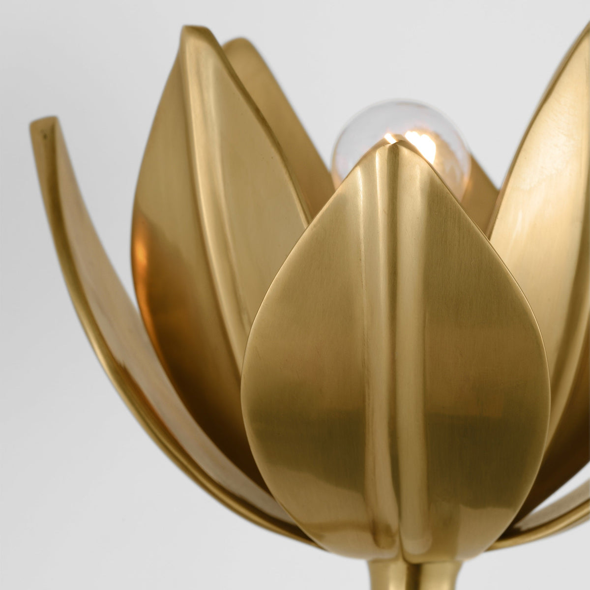 Clira Brass Lotus Bloom Wall Lamp