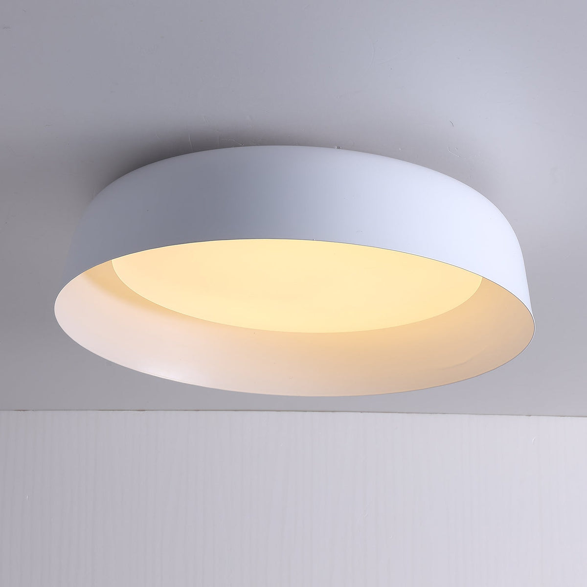 Viraenena Modern Minimalist Ceiling Light
