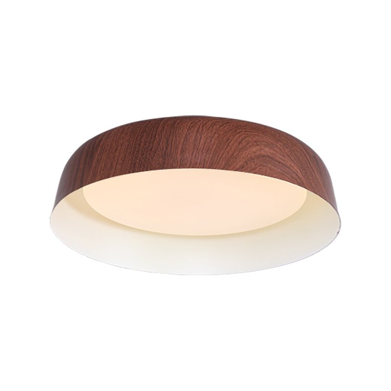 Viraenena Modern Minimalist Ceiling Light