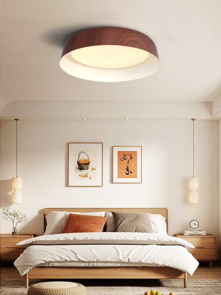 Viraenena Modern Minimalist Ceiling Light