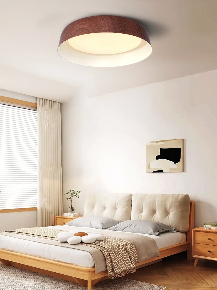 Viraenena Modern Minimalist Ceiling Light