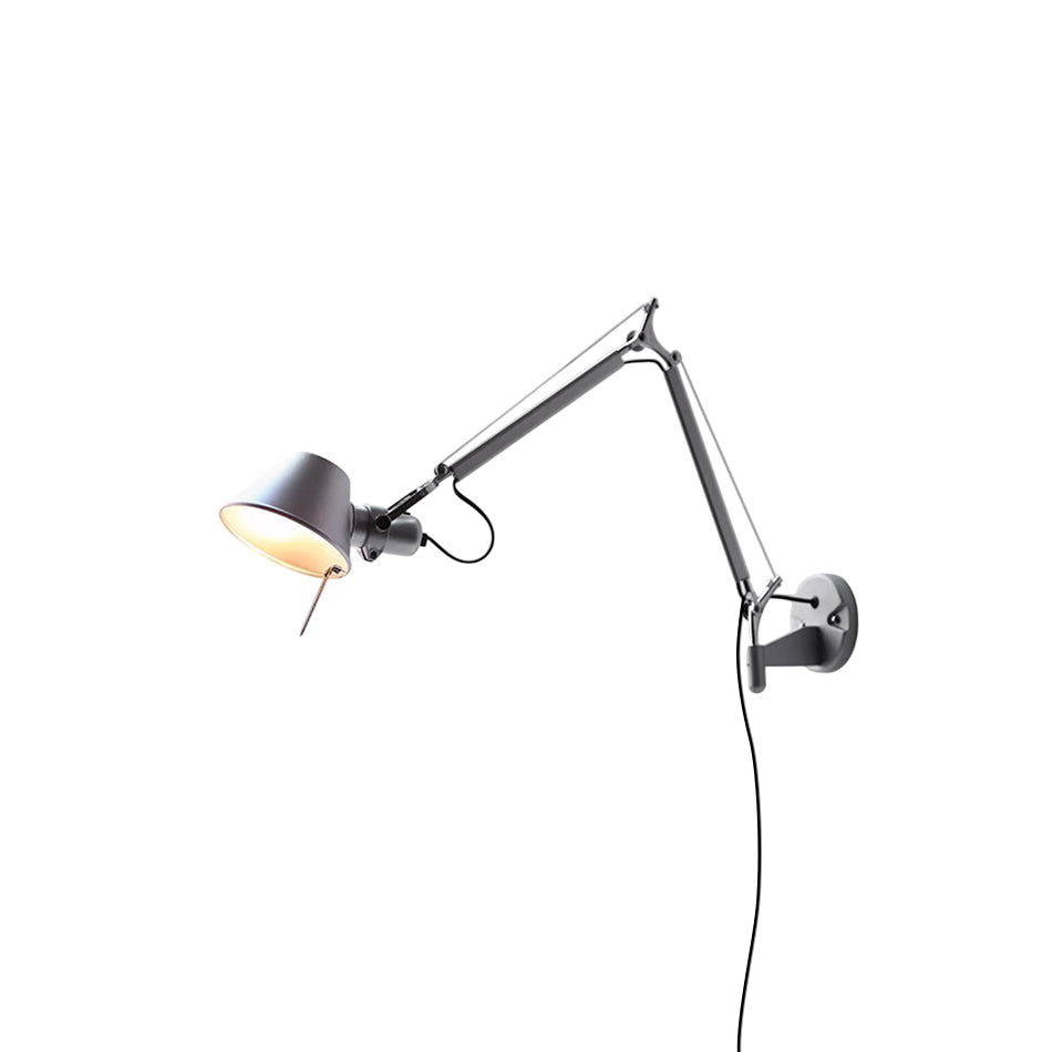 Elaoine Arm Wall Lamp