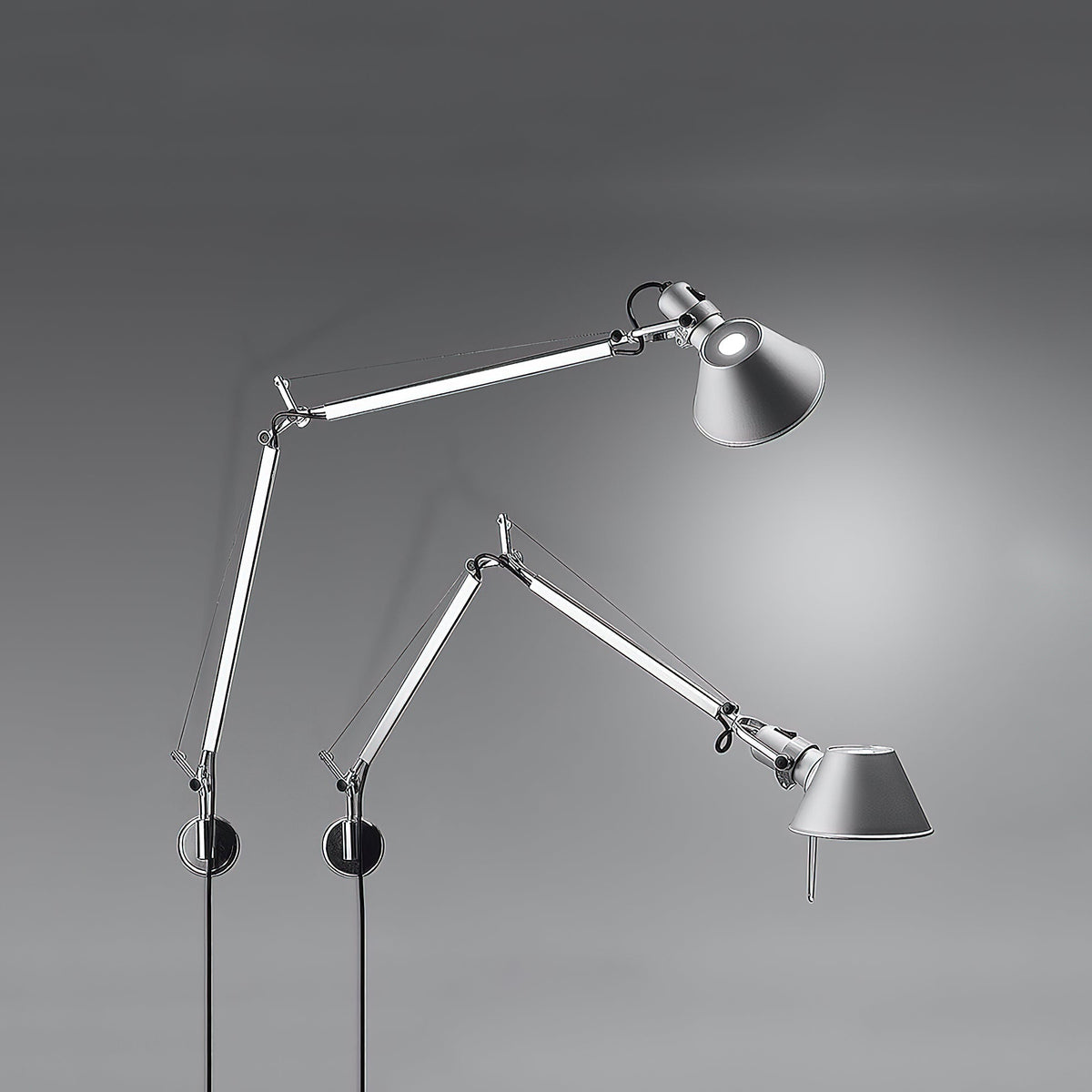 Elaoine Arm Wall Lamp