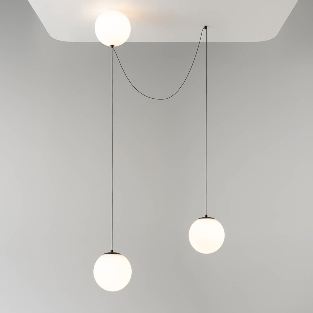 Asteris Noctis Globe Pendant Lamp