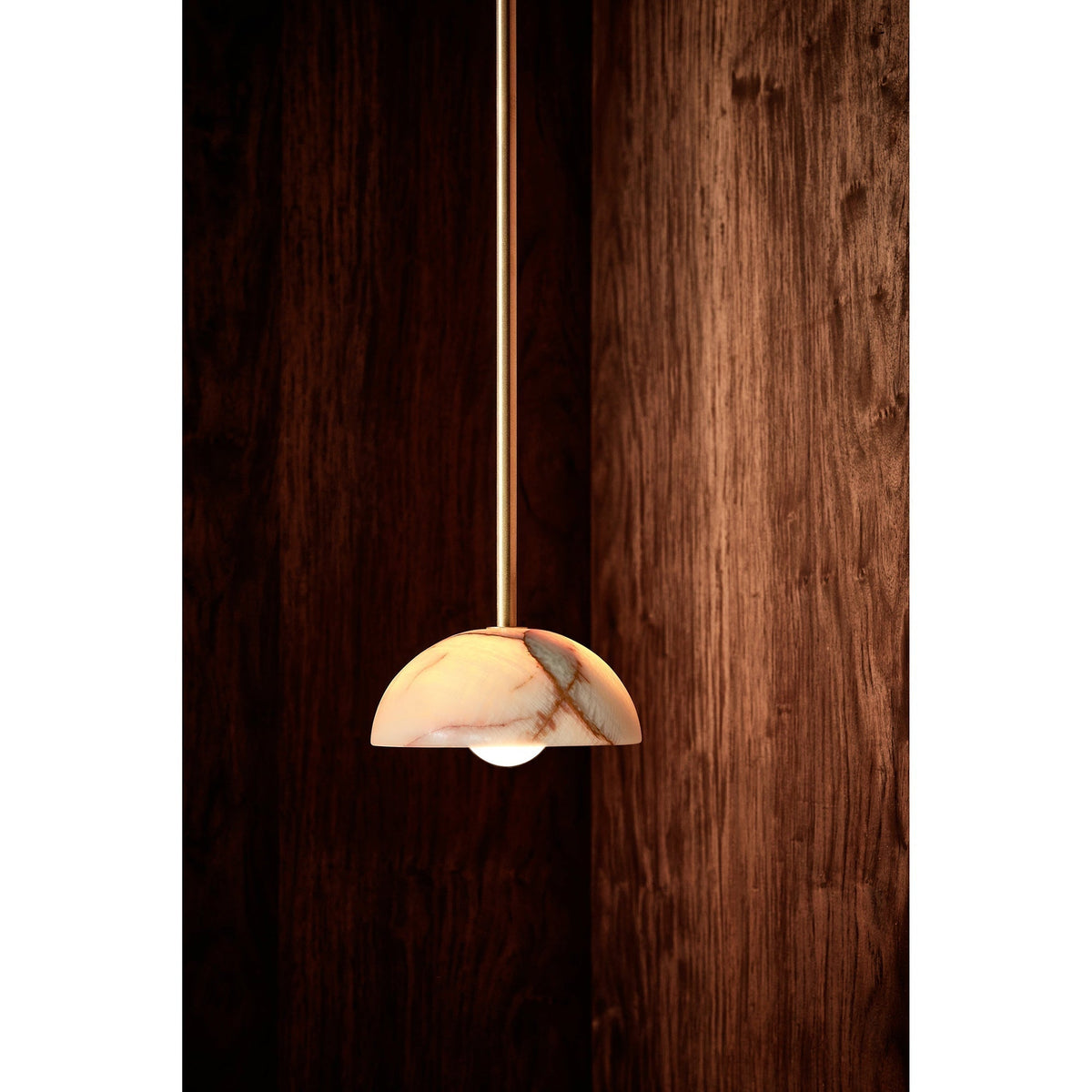 Eronex Modern Minimalist Elegance Brass Glass Pendant Lamp