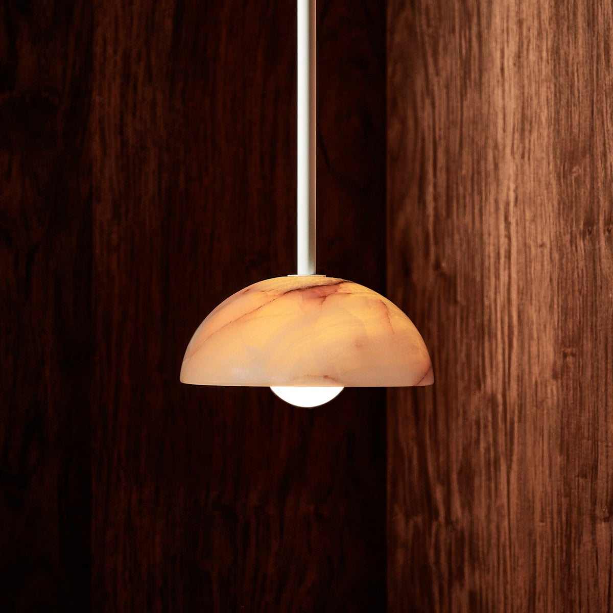 Eronex Modern Minimalist Elegance Brass Glass Pendant Lamp