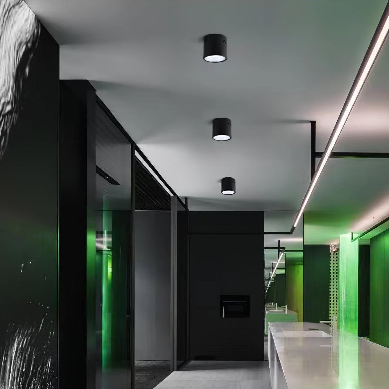 Cumara Modern Minimalist Spotlight Ceiling lamp