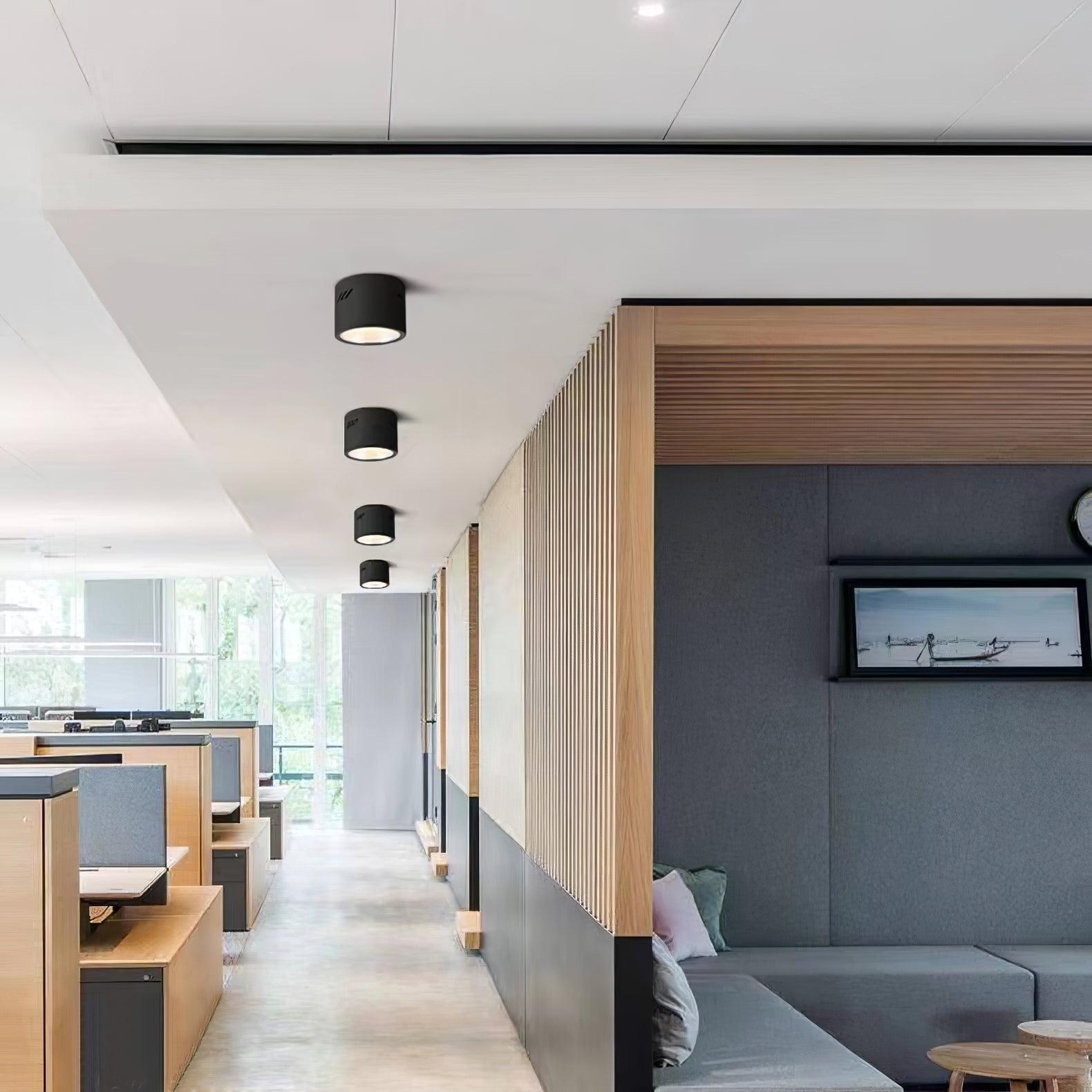Cumara Modern Minimalist Spotlight Ceiling lamp