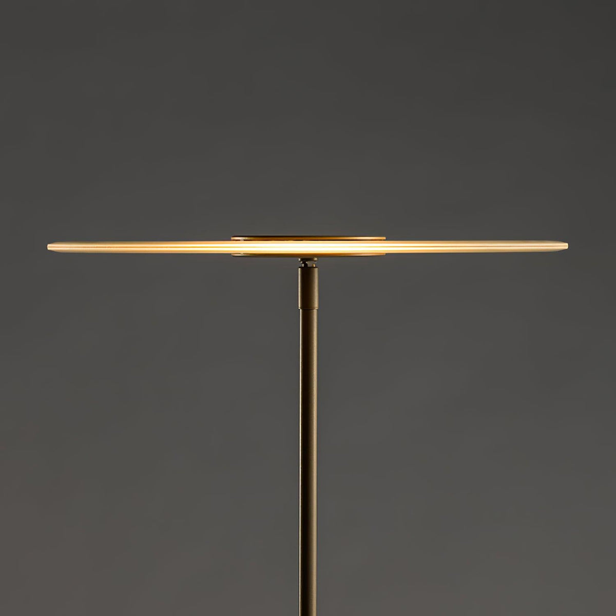 Abir Minimalist Floor Lamp