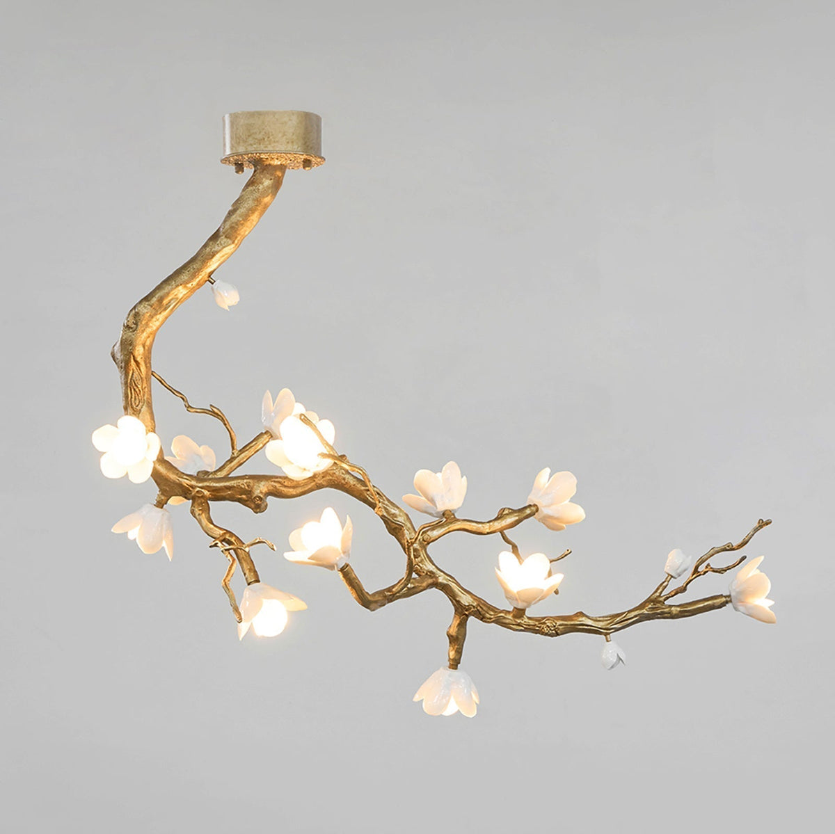 Solenira Chandelier Brass Flower Branch Natural