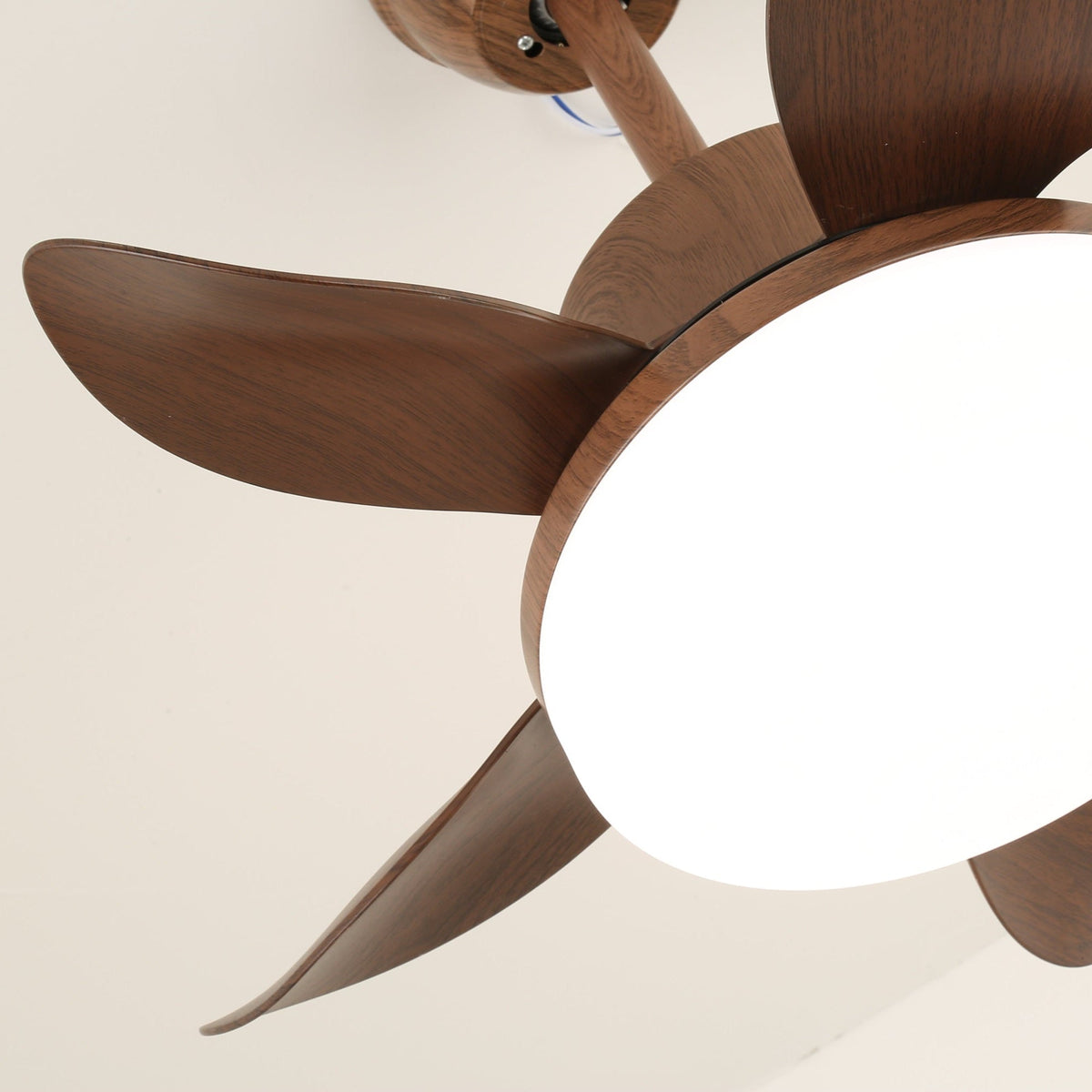 Alenya Wood Ceiling Fan Light