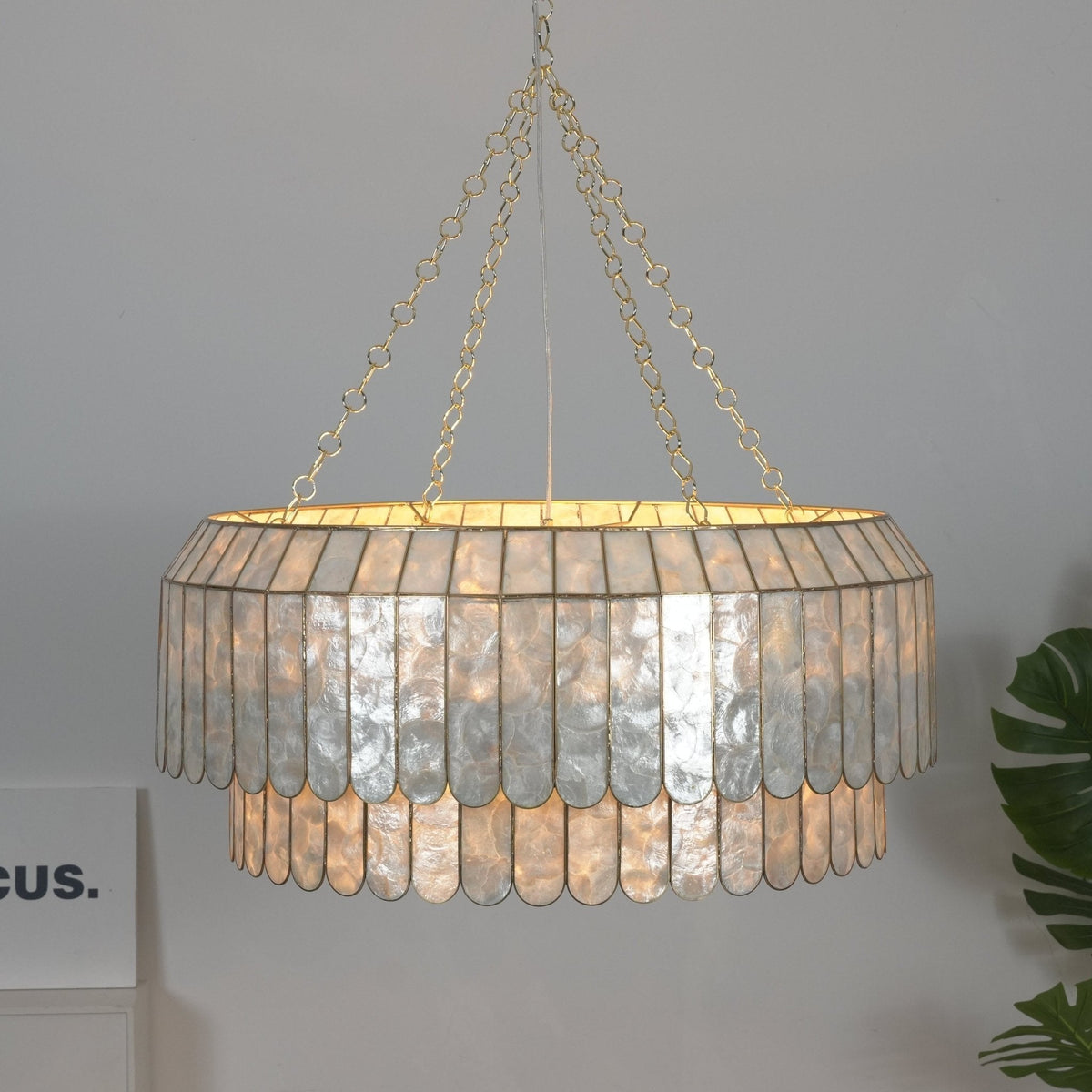 Holz Gold Shell Metal Aurelia Chandelier