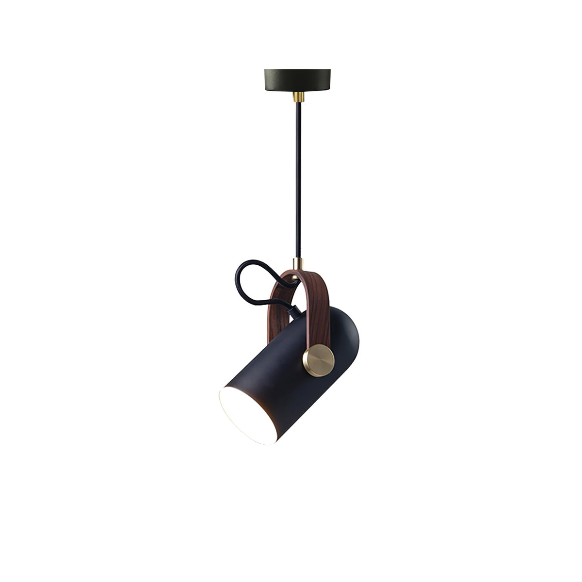 Miraaine Modern Minimalist Swag Pendant Light