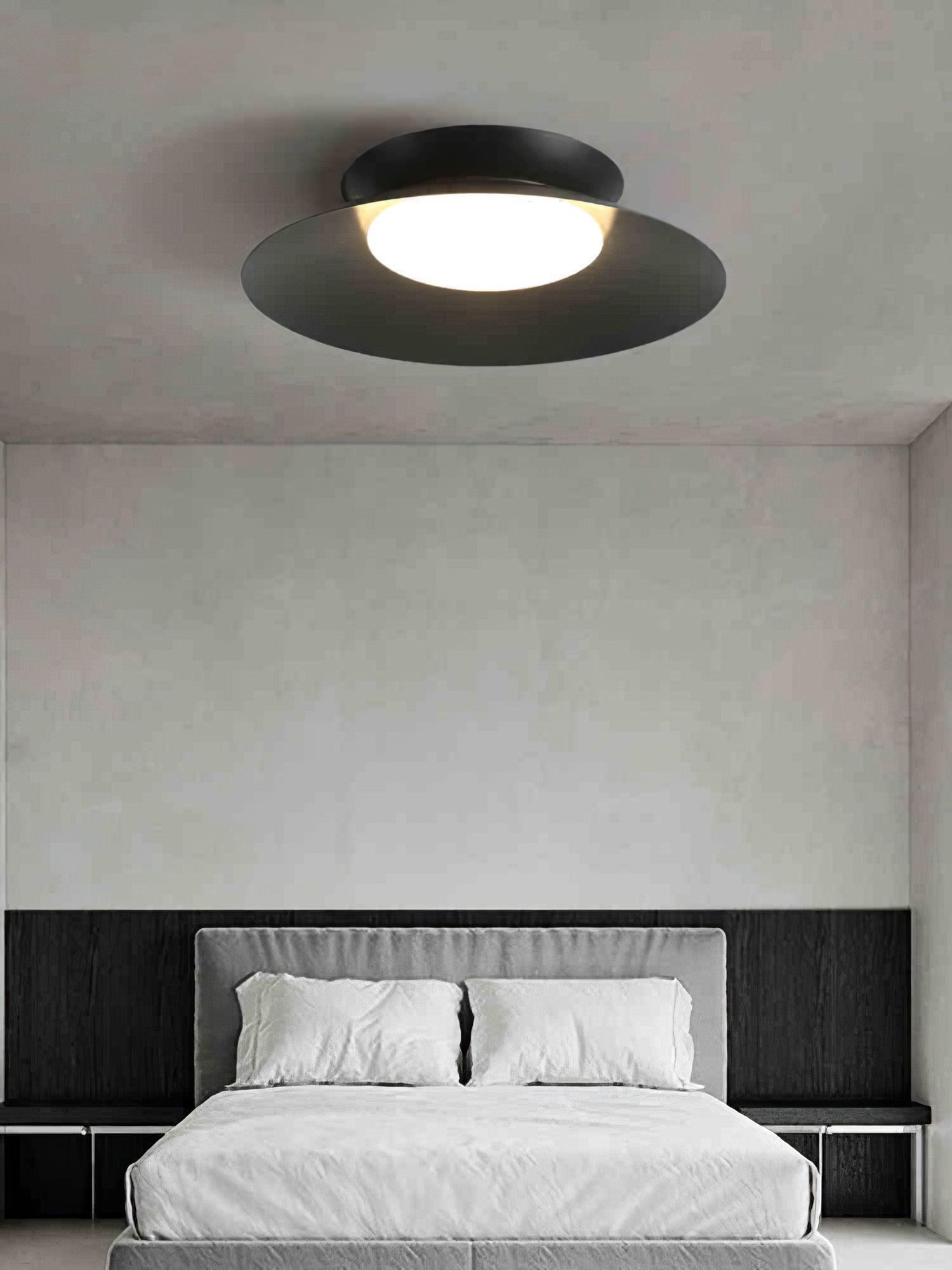 Zezoraris Ceiling Light