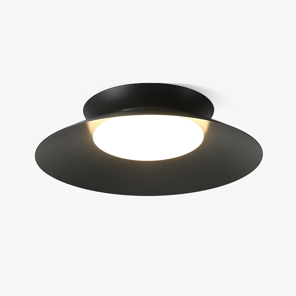 Zezoraris Ceiling Light