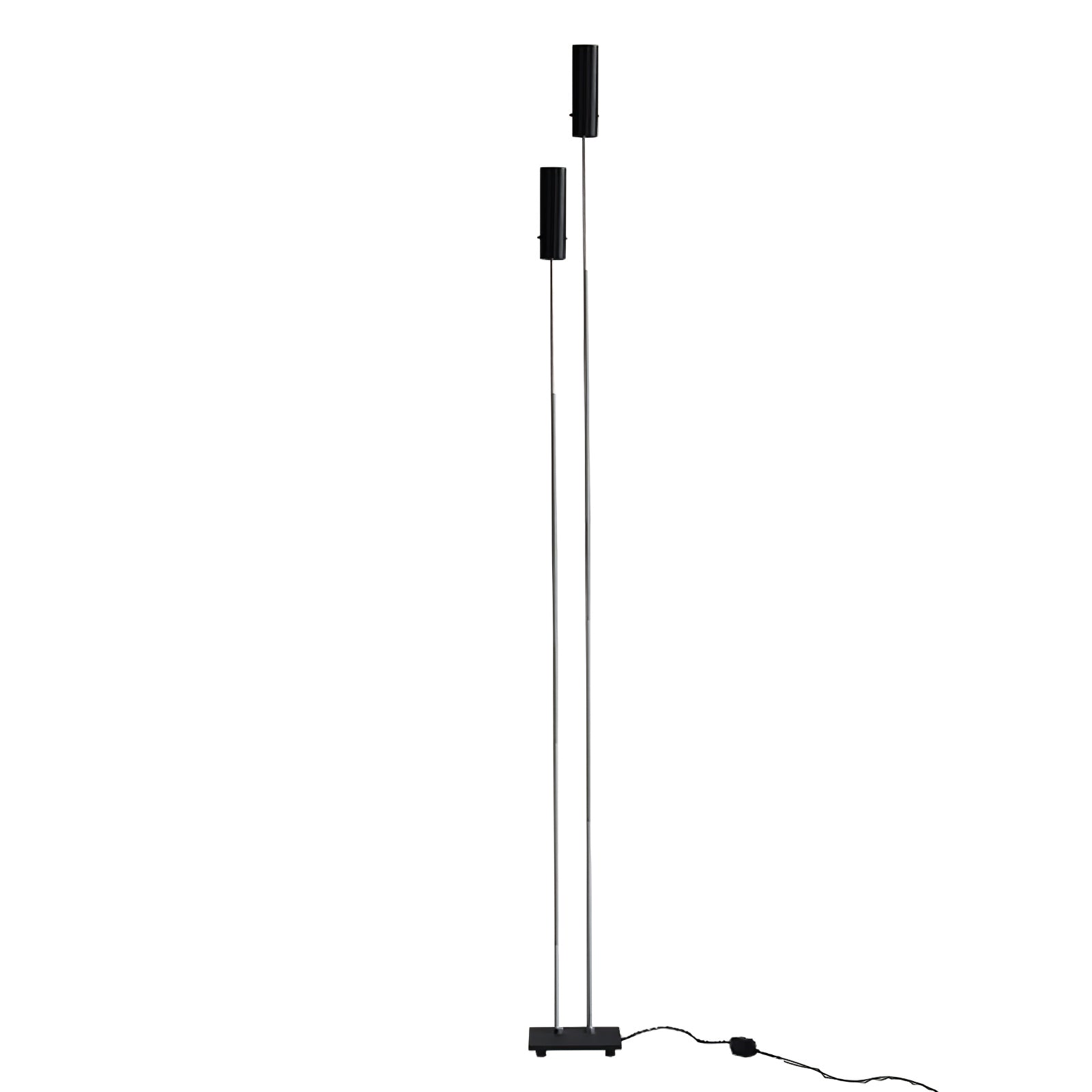 Telum Minimalist Black Floor Lamp