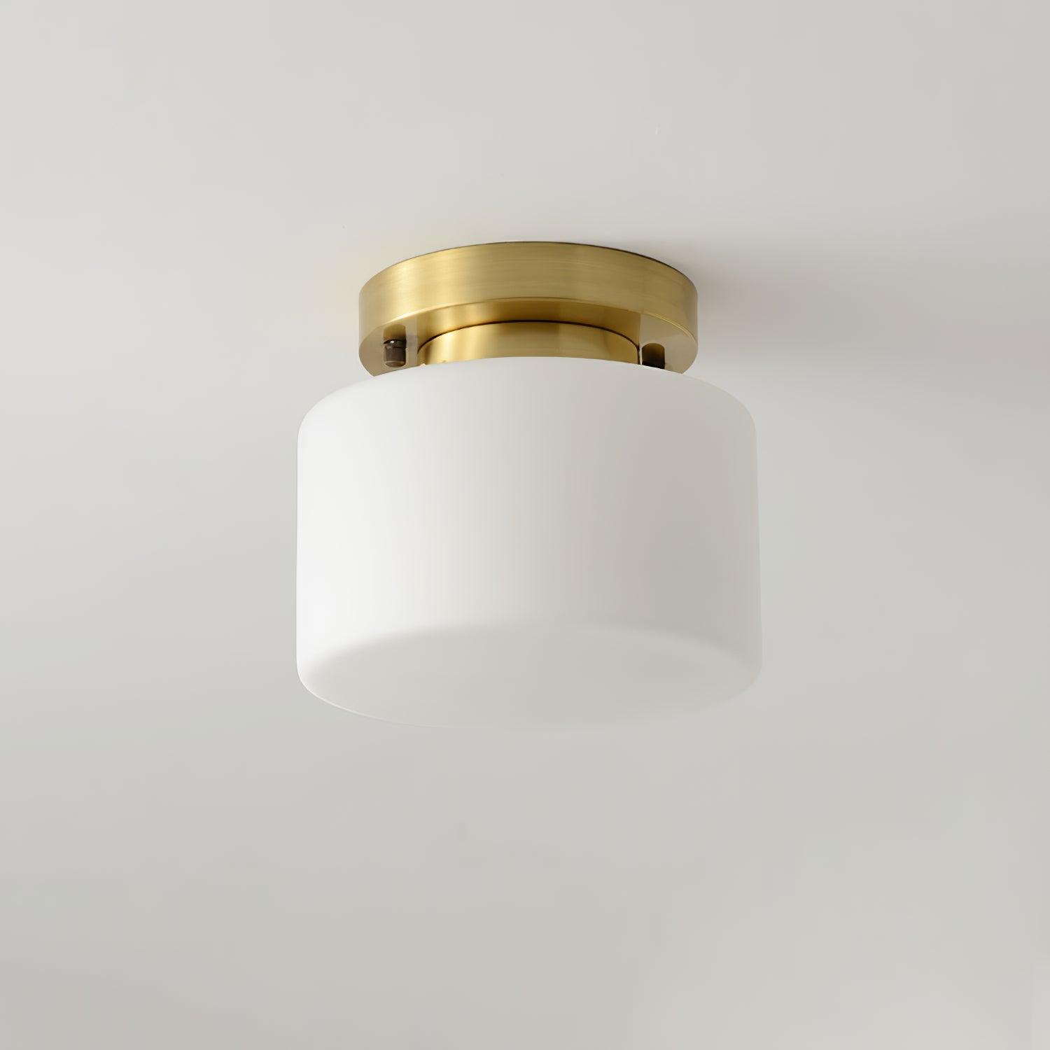 Elsilisra Nordic Art Brass Glass Flush Mount Ceiling Light