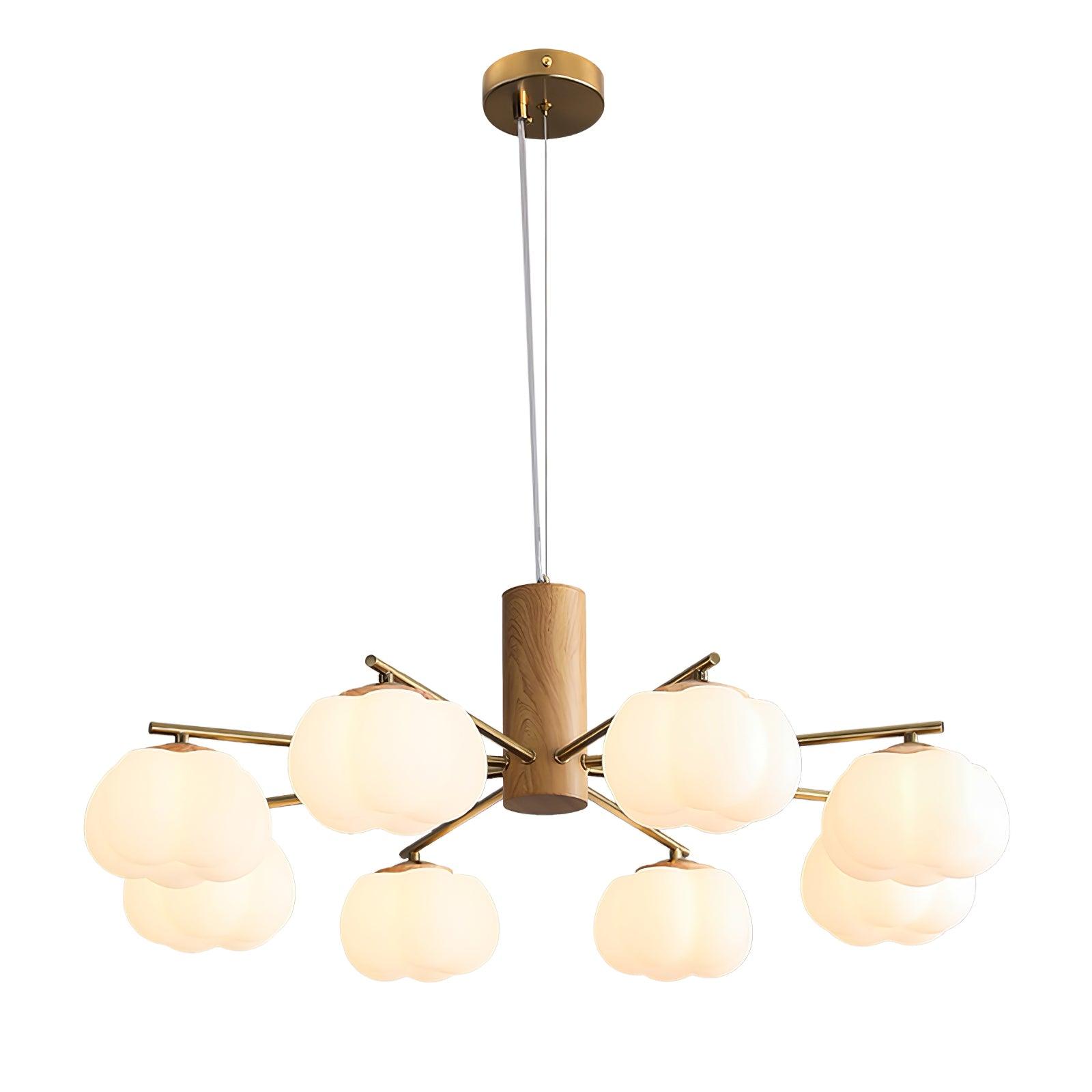 Ciruine Vintage Chandelier