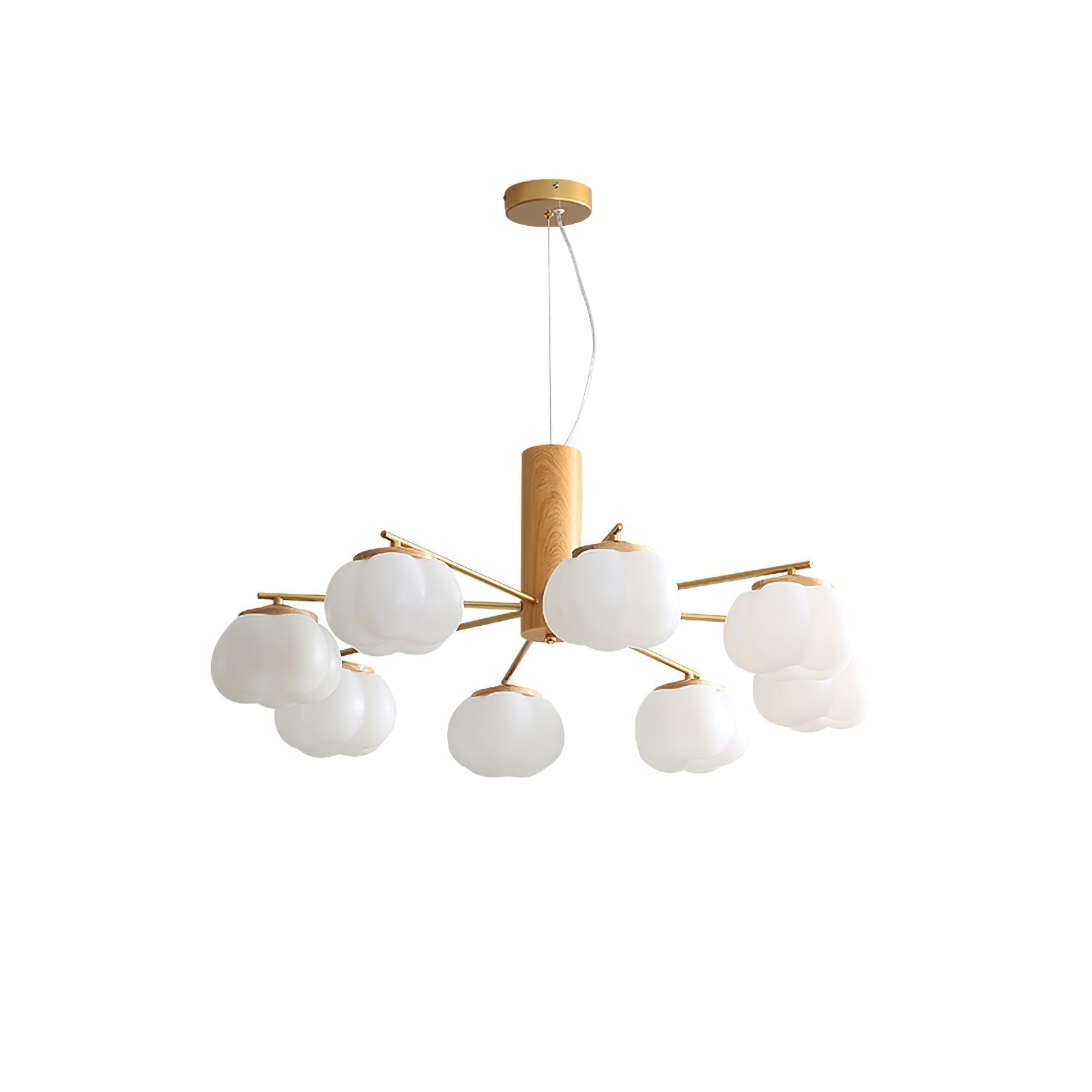 Ciruine Vintage Chandelier